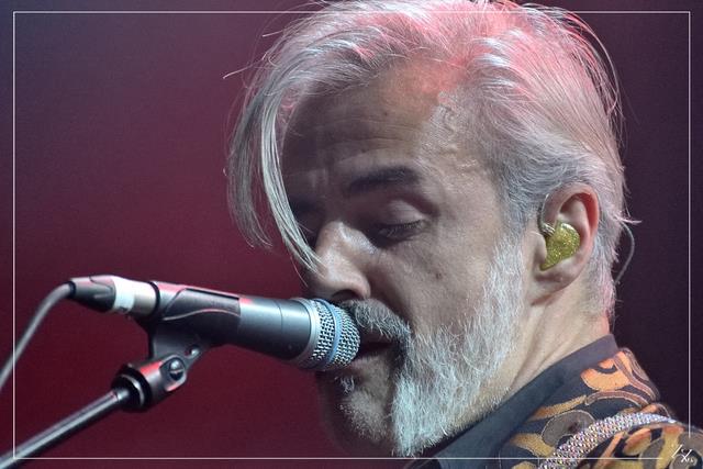 NIK_87130 Triggerfinger 21-11-2018 (Zz) (p).jpg